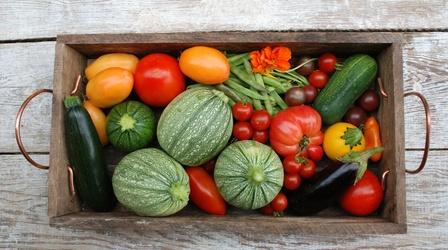 Video thumbnail: Growing a Greener World Abundant Harvest