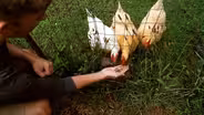 Tennessee Life - 504 - Farming in the City