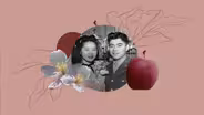 Kiyokawa Family Orchards | Superabundant