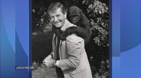 Video thumbnail: Chicago Tonight Dr. Lester Fisher Reflects on 30 Years as LP Zoo Director