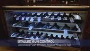 Gun Safety Advocates Push for State Assault Weapons Ban