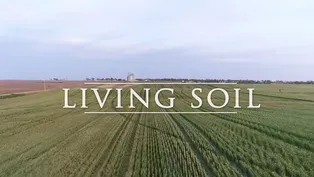 Living Soil