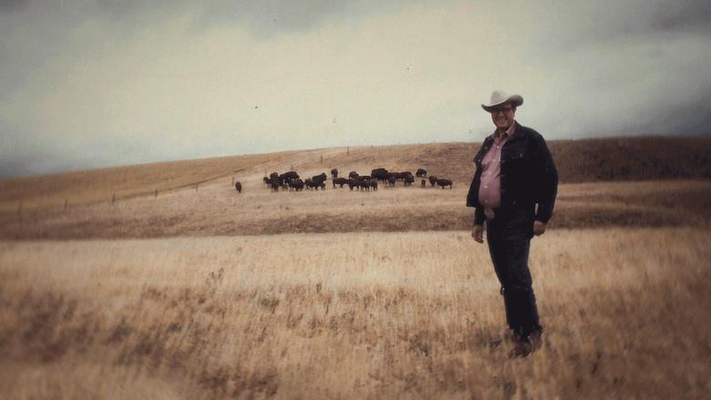 Bring Them Home Image