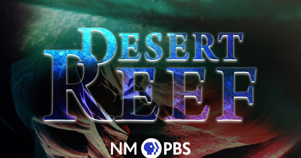 Desert Reef | PBS