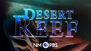 Desert Reef