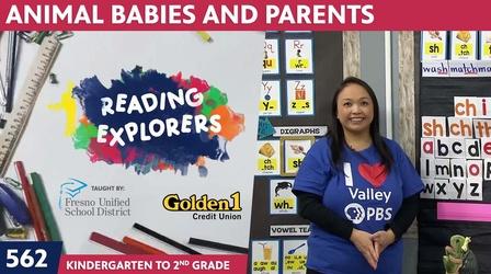 Video thumbnail: Reading Explorers K-2-562: Animal Babies and Parents