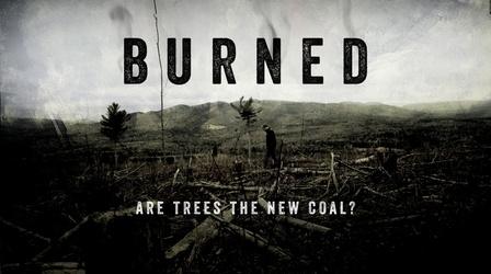 Video thumbnail: Maine Public Film Series BURNED: Are Trees the New Coal?