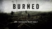 BURNED: Are Trees the New Coal?