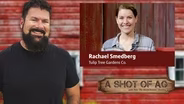 Rachael Smedberg | Tulip Tree Gardens Co.