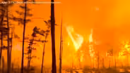 Another wildfire breaks out, this time in Burlington County
