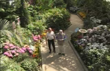 The Botanical Gardens of Montreal: A World Under Glass