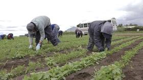Video thumbnail: Borders & Heritage Washington Farmers Safeguard Migrant Workers