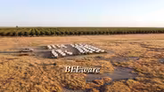 BEEware