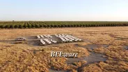 BEEware