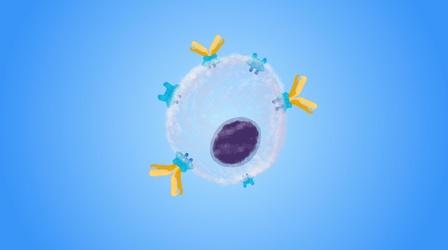 Video thumbnail: NOVA Can Gene Therapy Cure Cancer?