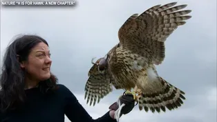 "H IS FOR HAWK: A NEW CHAPTER"