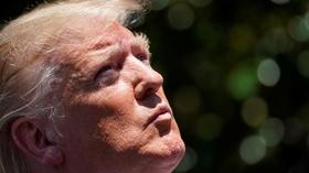 Video thumbnail: PBS NewsHour Trump's tweets aren't racist, argues Rep. Comer