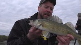 Video thumbnail: Prairie Sportsman Willmar Walleyes