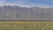 California Superbloom – A World of Dramatic Change