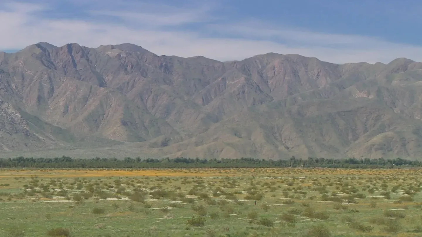California Superbloom – A World of Dramatic Change