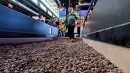Science Fun Factory & More