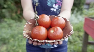 Healing Future Generations