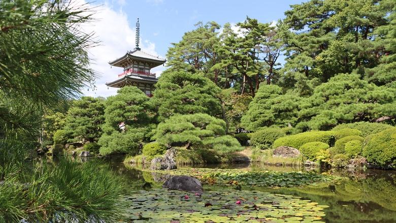 Sacred Planet with Gulnaz Khan Image