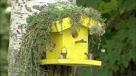 Video thumbnail: The Wisconsin Gardener Raising the Roof