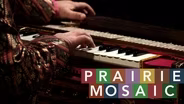 Prairie Mosaic 1206