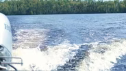 Making Waves