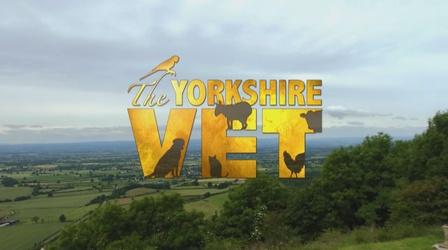 Video thumbnail: The Yorkshire Vet Season 3, Episode 1