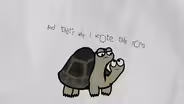 Two-Headed Tortoise