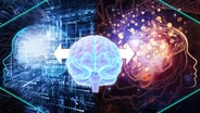 Can Free Will be Saved in a Deterministic Universe?