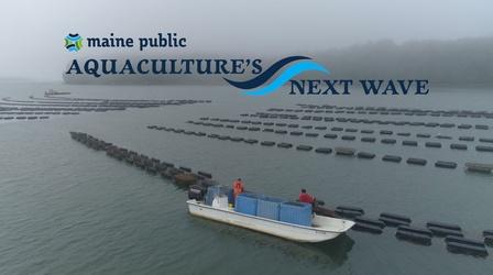 Video thumbnail: Maine Public News Aquaculture's Next Wave