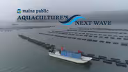 Aquaculture's Next Wave