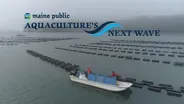 Aquaculture's Next Wave