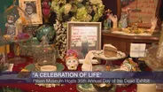 Pilsen Museum Hosts 35th Annual Day of the Dead Exhibit