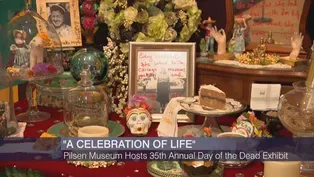 Pilsen Museum Hosts 35th Annual Day of the Dead Exhibit