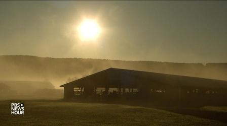 Video thumbnail: PBS NewsHour How these farmers are turning manure and food waste to power