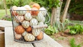 Scrambled It Is: asset-mezzanine-16x9