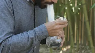 DARKER SIDE OF CANNABIS