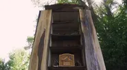 Live Edge Tall Case Wall Cabinet
