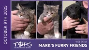 10/9/2025 | Soy, Tofu and Plum | Mark's Furry Friends Extra