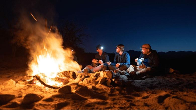 The Survivalists Image