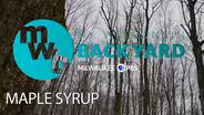 Maple Syrup