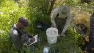 Montanans fish for answers amid mysterious trout decline