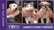 8/6/2026 | Tyra, Gus and Rosco | Mark's Furry Friends Extra