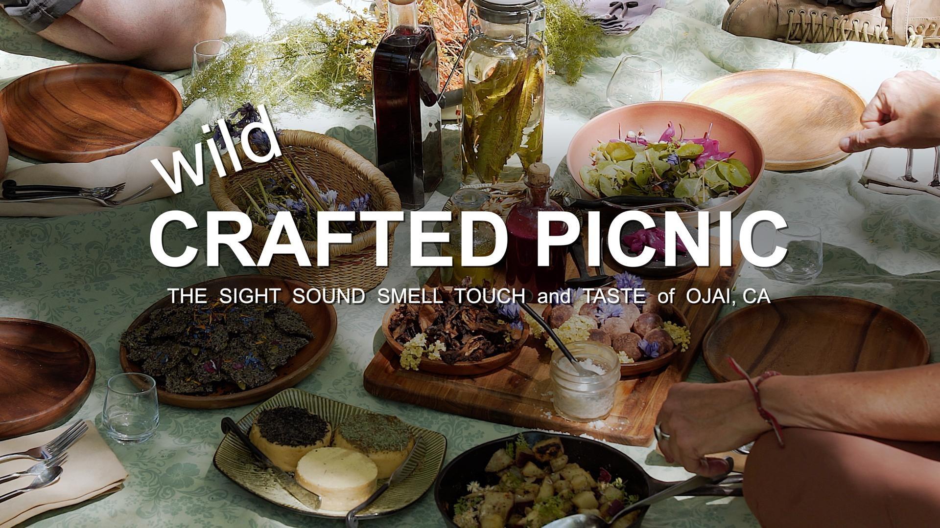 Refresh Quest Wild Crafted Picnic Episode 103 PBS