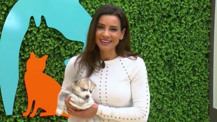 KPBS Evening Edition KPBS Evening Edition Special: San Diego