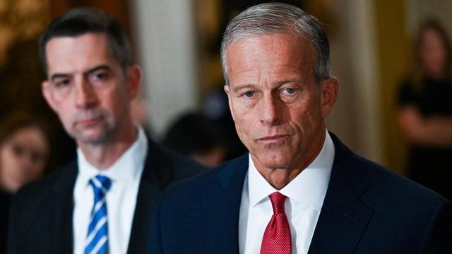 GOP strategist breaks down Trump's pressure on Congress